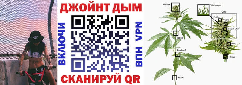 Шишки марихуана сатива Махачкала